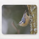 Recherche de habitat tapis souris Amérique du nord