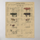 Search for anatomy diagram posters Anatomical