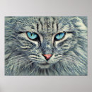 Search for blue cat posters Feline