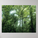 Recherche de le costa rica posters Vert