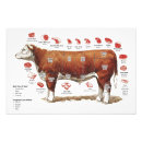 Recherche de boucher de viande art Couper