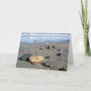 Search for pebble cards Ocean