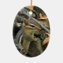 Search for chipmunk ornaments Woods