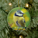 Search for little bird ornaments Animals