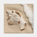 Recherche de turc magnets Plage