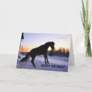Search for winter fun cards Horse
