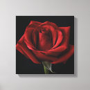 Search for red rose canvas prints Floral