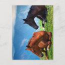 Recherche de ambiance cartes postales Pour enfants