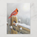 Recherche de cardinal Joyeux noël