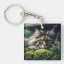 Search for fluffy cat keychains Cute