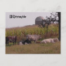 Recherche de silos cartes postales Pays
