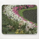 Recherche de rhododendron tapis souris Jardin