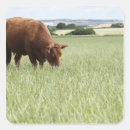 Recherche de animaux de prairie autocollants Animal