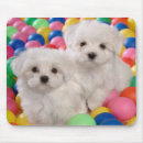 Search for bichons mousepads Puppy
