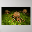 Search for eukaryotic posters Disease
