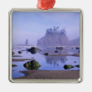Search for olympic national park ornaments Pacific