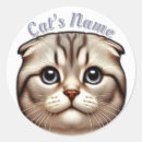 Search for cat ears stickers Kitten