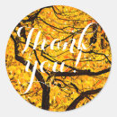Search for vein stickers Thank you