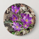Recherche de pourpre de fleur badges Printemps