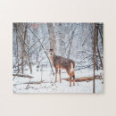 Recherche de cerfs communs puzzles Hiver