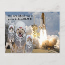 Search for teachers pet postcards Pets