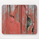 Search for red eye mousepads Cat