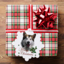 Search for alaskan malamute christmas cards Xmas