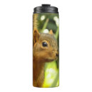 Search for ground squirrels mugs Grey squirrel