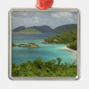 Search for st john ornaments Tropical