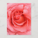 Recherche de goûter cartes postales Pour elle