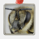 Recherche de abeille ornements Animal