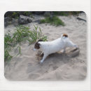 Search for river rocks mousepads Beach