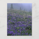 Recherche de prairie cartes postales Environnement