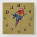 Recherche de perroquets rouges horloges Perroquet rouge