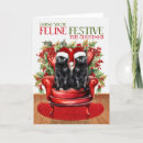 Search for two black cats cards Pets