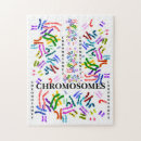 Recherche de chromosome de y Pour tous