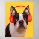Search for headphones posters Domestic animals