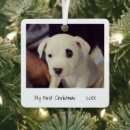 Search for black and white cat ornaments Pet