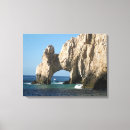 Search for cabo art Mexico