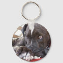 Search for pitbull keychains Dog
