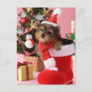 Recherche de boxer christmas vœux cartes Dog
