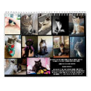 Search for charity calendars Cat