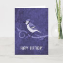 Search for blue jay birthday cards Birds