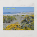 Recherche de mono cartes postales Californie