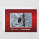 Search for bald eagle christmas cards Snow