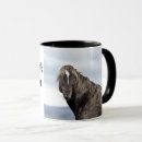 Recherche de cheval mustang tasses Chevaux sauvages