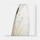 Recherche de fragilité magnets Vertical