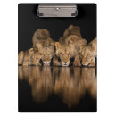 Search for cat clipboards Africa