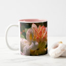 Search for azalea mugs Flower