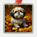 Search for shih tzu puppy ornaments Cute